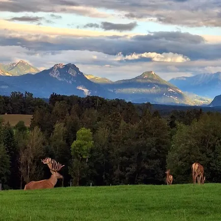 Holzfass Entspannung Pur Mit Schoenstem Bergblick 1 Appartement *
