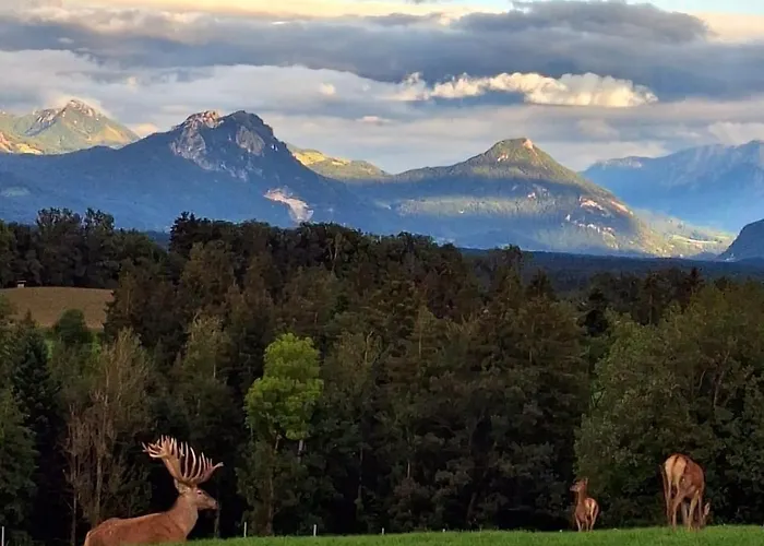 Holzfass Entspannung Pur Mit Schoenstem Bergblick 1 Apartman *
