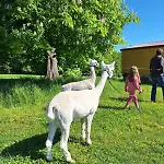 Holzfass Entspannung Pur Mit Schoenstem Bergblick 1