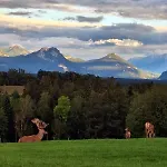 Holzfass Entspannung Pur Mit Schoenstem Bergblick 1 Apartmán *
